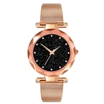 ZLF0710 Moda Quartz Rel¨®gio inoxid¨¢vel Strap Watch A?o Casual Women Watch