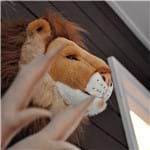 Ficha técnica e caractérísticas do produto Cabeça de Leão de Parede Wild & Soft