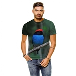 Ficha técnica e caractérísticas do produto Camiseta Pássaro Tangará Dançador Masculina GY