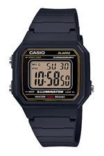 Ficha técnica e caractérísticas do produto Casio W217H- 9Avdf