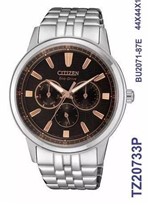 Ficha técnica e caractérísticas do produto Citizen Ecodrive TZ20733P