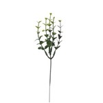 Ficha técnica e caractérísticas do produto Folhagem Pick Eucalipto Verde 25cm Flor Arte
