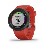 Ficha técnica e caractérísticas do produto Garmin Forerunner 45 GPS Running Watch Vermelho