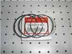Ficha técnica e caractérísticas do produto Jogo de Aneis STD Honda Gx200 - Grosso