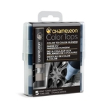 Ficha técnica e caractérísticas do produto Kit 5 Color Tops Chameleon - Tons de Cinza