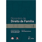Ficha técnica e caractérísticas do produto Livro - Dicionário de Direito de Família : a - H