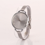Ficha técnica e caractérísticas do produto FLY Mulheres ultrafinos quartzo relógio com Alloy malha pulseira relógio de pulso Ornamento do presente Watch