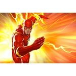 Ficha técnica e caractérísticas do produto Painel De Festa The Flash #01