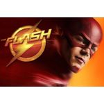 Ficha técnica e caractérísticas do produto Painel De Festa The Flash #04