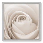 Ficha técnica e caractérísticas do produto Quadro Decorativo - Rosa - 70cm x 70cm - 003qnfdb