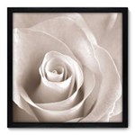 Ficha técnica e caractérísticas do produto Quadro Decorativo - Rosa - N7001 - 50cm X 50cm