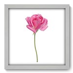 Ficha técnica e caractérísticas do produto Quadro Decorativo - Rosa