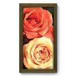 Ficha técnica e caractérísticas do produto Quadro Decorativo - Rosas - 19cm X 34cm - 055