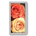 Ficha técnica e caractérísticas do produto Quadro Decorativo - Rosas - 19cm X 34cm - 055qdfb