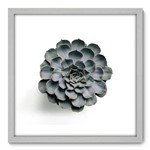 Quadro Decorativo - Suculenta - N3077 - 50cm X 50cm