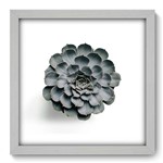 Quadro Decorativo - Suculenta - N2077 - 33cm X 33cm