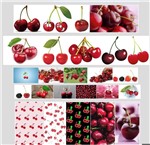 Quadro Frutas Vermelhas Amora Cereja Framboesa Morango - Artesanato