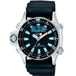 Ficha técnica e caractérísticas do produto Relógio Citizen Aqualand JP2000-08E - Série Prata Garantia