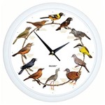 Ficha técnica e caractérísticas do produto Relógio de Parede com Sons de Aves - Dalgas - Branco - 25cm
