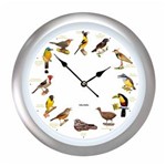 Ficha técnica e caractérísticas do produto Relógio de Parede com Sons de Aves - Dalgas - Prata - 34cm