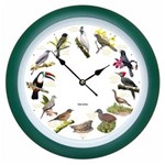 Ficha técnica e caractérísticas do produto Relógio de Parede com Sons de Aves - Dalgas - Verde - 34cm