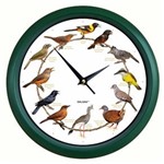Ficha técnica e caractérísticas do produto Relógio de Parede com Sons de Aves - Dalgas - Verde - 25cm