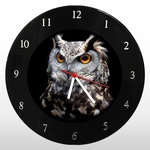 Ficha técnica e caractérísticas do produto Relógio de Parede - Coruja Owl - em Disco de Vinil - Mr. Rock – Animal