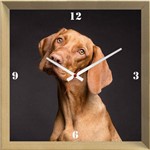 Relógio de Parede Criativo Pet Cachorro Vizsla 30x30cm