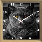 Ficha técnica e caractérísticas do produto Relógio de Parede Criativo Pet Gato Cinza Chartreux de Olhos Amarelos 30x30cm - Decore Pronto