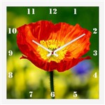 Relógio de Parede Decorativo Flor Papoula Vermelha 30x30cm