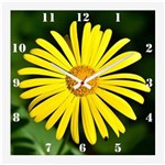 Ficha técnica e caractérísticas do produto Relógio de Parede para Cozinha Flor de Primavera Doronicum 30x30cm