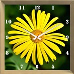 Relógio de Parede Personalizado Flor de Primavera Doronicum 30x30cm - Decore Pronto