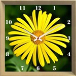 Relógio de Parede Personalizado Flor de Primavera Doronicum 30x30cm