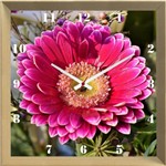 Relógio de Parede Personalizado Flor Margarida Rosa 30x30cm - Decore Pronto