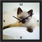 Ficha técnica e caractérísticas do produto Relógio de Parede Personalizado Moldura Preta Pet Gatinho Filhote 30x30cm