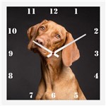Relógio de Parede Personalizado Pet Cachorro Vizsla 30x30cm - Decore Pronto
