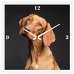 Relógio de Parede Personalizado Cachorro Pinscher 30x30cm