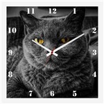 Ficha técnica e caractérísticas do produto Relógio de Parede Personalizado Pet Gato Cinza Chartreux 30x30cm - Decore Pronto
