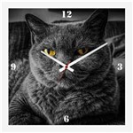 Ficha técnica e caractérísticas do produto Relógio de Parede Personalizado Pet Gato Cinza Chartreux 30x30cm
