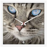 Relógio de Parede Personalizado Pet Olhos de Gato 30x30cm