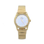 Ficha técnica e caractérísticas do produto Relógio de Pulso Champion Feminino Pulseira de Mola CN26322H - Dourado - Champion Watch