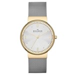 Ficha técnica e caractérísticas do produto Relógio de Pulso Skagen Slim Feminino SKW2128/1DN - Prata e Dourado