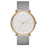 Ficha técnica e caractérísticas do produto Relógio de Pulso Skagen Slim Feminino SKW6170/1KN - Prata