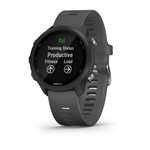 Ficha técnica e caractérísticas do produto Relógio Esportivo Garmin Forerunner 245 Cinza Ardósia com GPS e Monitor Cardíaco