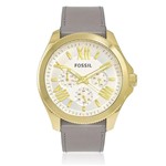 Ficha técnica e caractérísticas do produto Relógio Feminino Fossil Cecile Multifunction Analógico AM4529/2XN Cinza