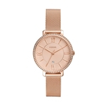 Ficha técnica e caractérísticas do produto Relógio Feminino Fossil ES4628/1JN 36mm Aço Rosé