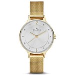 Ficha técnica e caractérísticas do produto Relógio Feminino Skagen Skw2150/4Kn