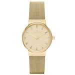 Ficha técnica e caractérísticas do produto Relógio Feminino Skagen Skw2196/4Dn