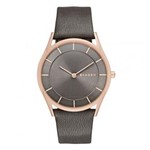 Ficha técnica e caractérísticas do produto Relogio Feminino Skagen Skw23462Ci