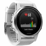 Ficha técnica e caractérísticas do produto Relógio Garmin Fenix GPS Multisport 010-01685-00